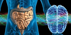 conexion-intestino-cerebro